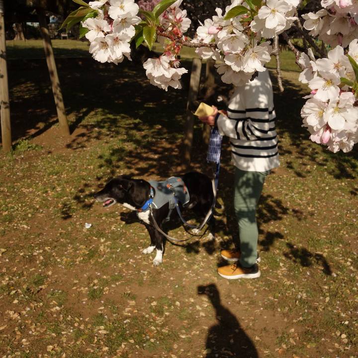 F29cc311 e6bf 49b6 bf5d 29ee83af3ad9 1744158224631