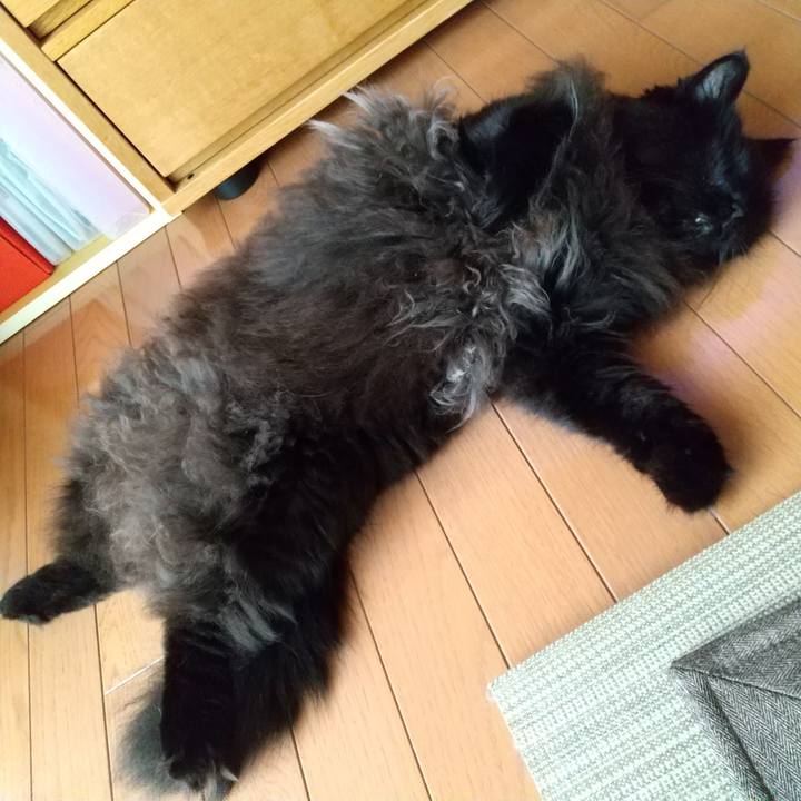 F29cc6de b1c0 4af6 b1a7 f01ed11915c0 1598673808802