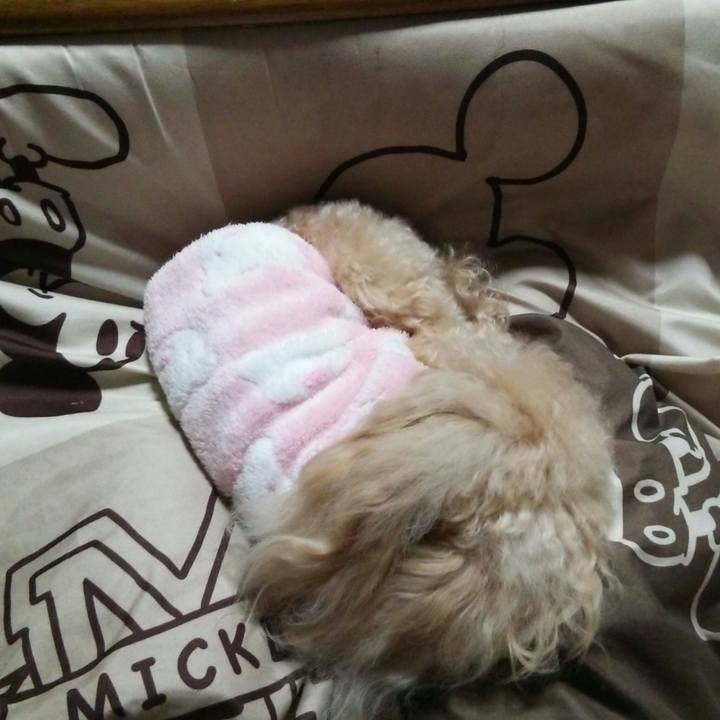 F29cc73c 05ac 498a 8aba b4355a629d2e 1550755214896