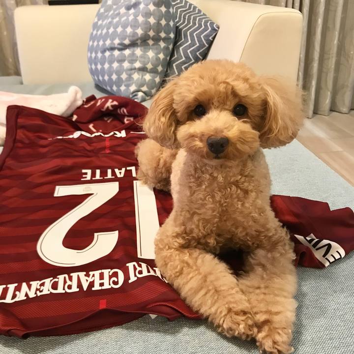 F29cf7fd 563e 4935 9dcc d1a37742c4be 1550838337790