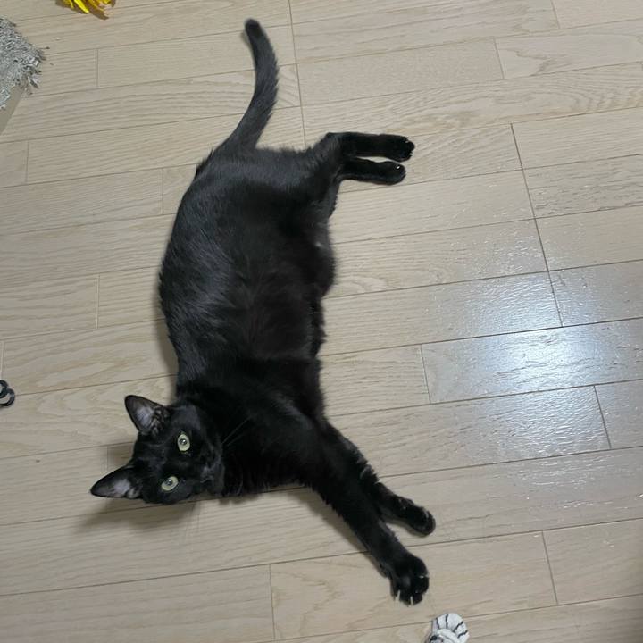 F29d13fa 45eb 4644 abbc 4221bd7d5831 1723112287475