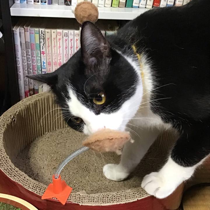 F29d2291 4bd7 4c9e b9a2 9e8733215257 1647943717506