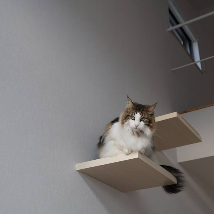 F29d3ae9 3162 4182 81aa 0c3d2323db91 1554982717109