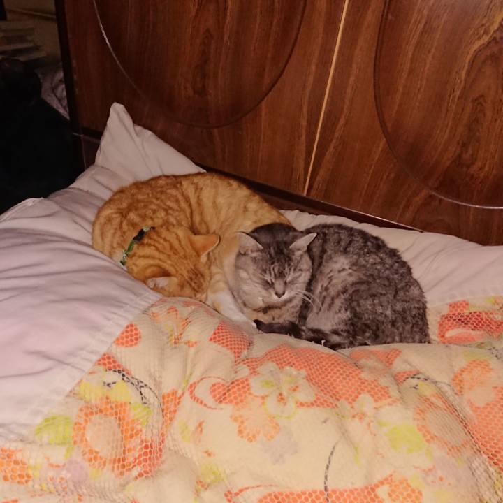 F29d6953 40a6 4a5d 9a57 07c0a56407a9 1580748195813