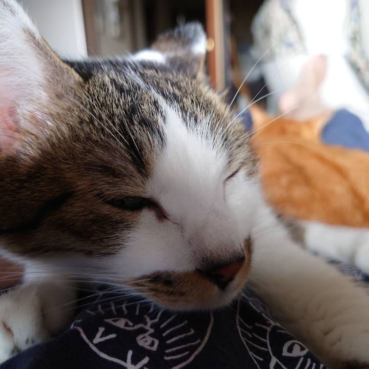 F29d7034 a133 4168 8ec0 d186279c5cb7 1760753995677