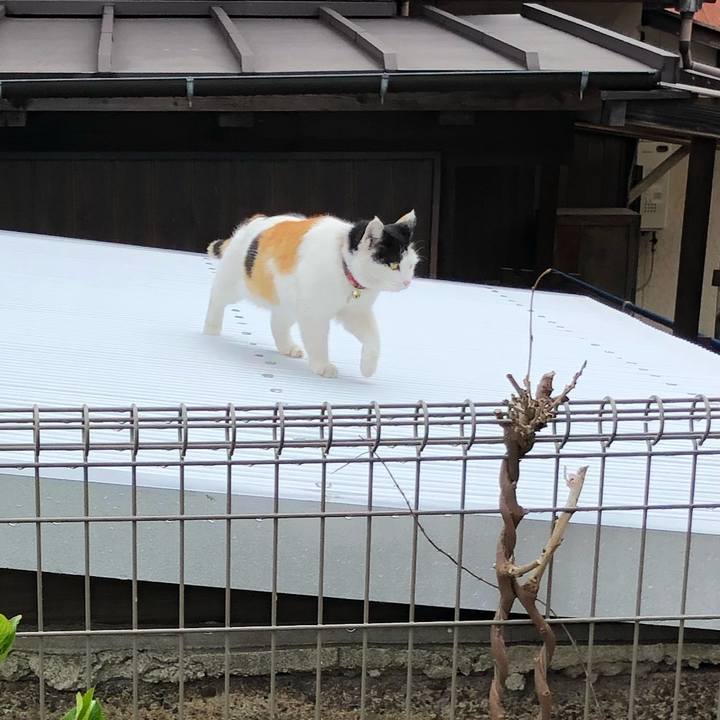 F29dab76 5126 44ce 82e3 3c7ecd3e0aec 1614339416648