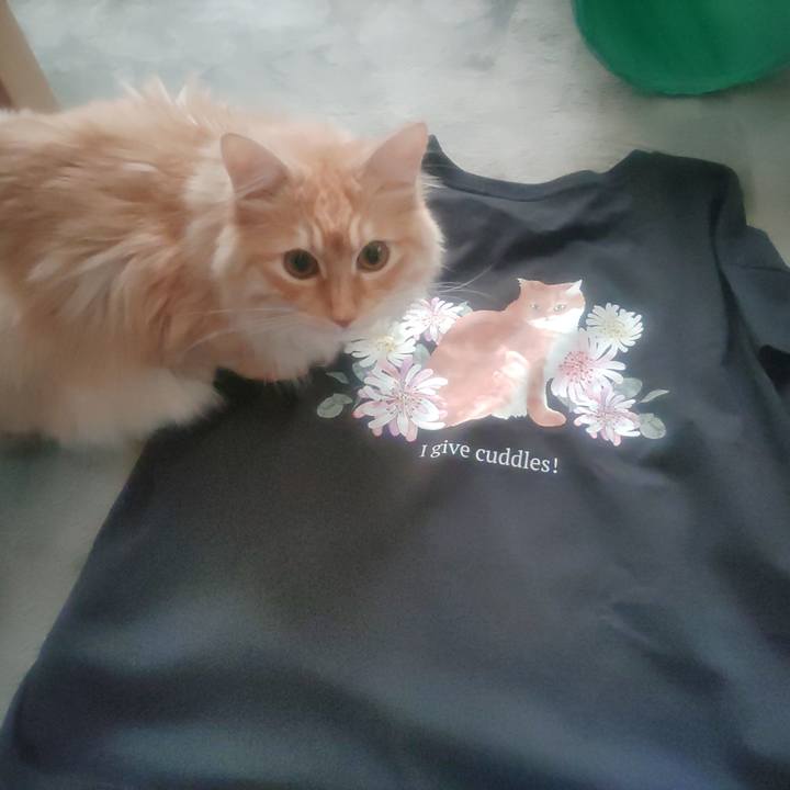 F29db62f 6289 4f54 9360 bd894c39045e 1656058396755