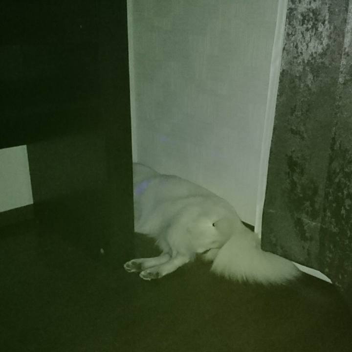 F29dfdd3 edc1 402a b1d7 3828103b0b02 1522859099864