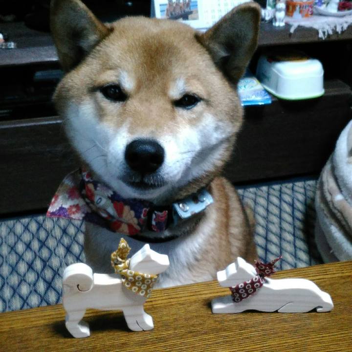 F29e108a 962f 4406 bd53 82b337ffc8ca 1515654722998