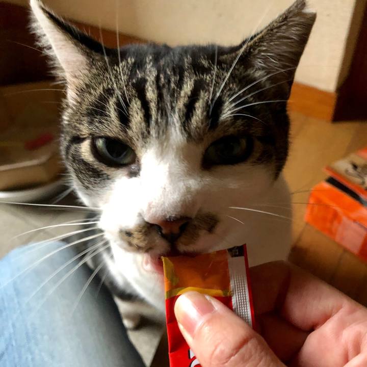 F29e2ca8 3341 432c b4c0 8e88b35f8f6c 1571304939458