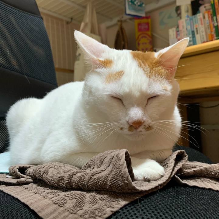 F29e3022 aaeb 4276 97a8 72c98cd86b40 1621628647224