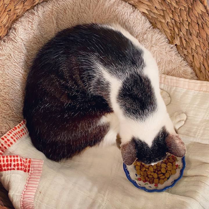 F29e61ec 32f9 4e75 aeec 76faa69431a2 1596848625977