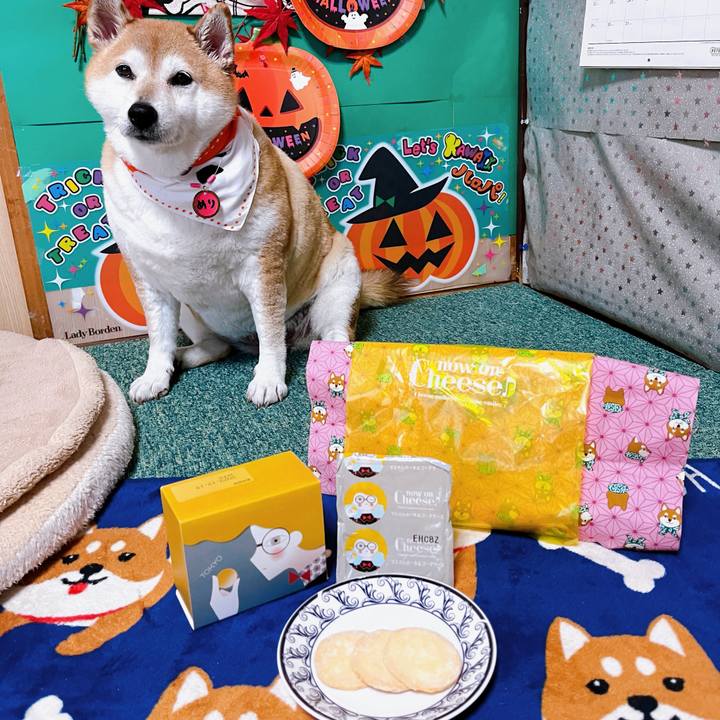 F29e656a 8c40 49d5 bfff ba8cc5f23177 1698135342279