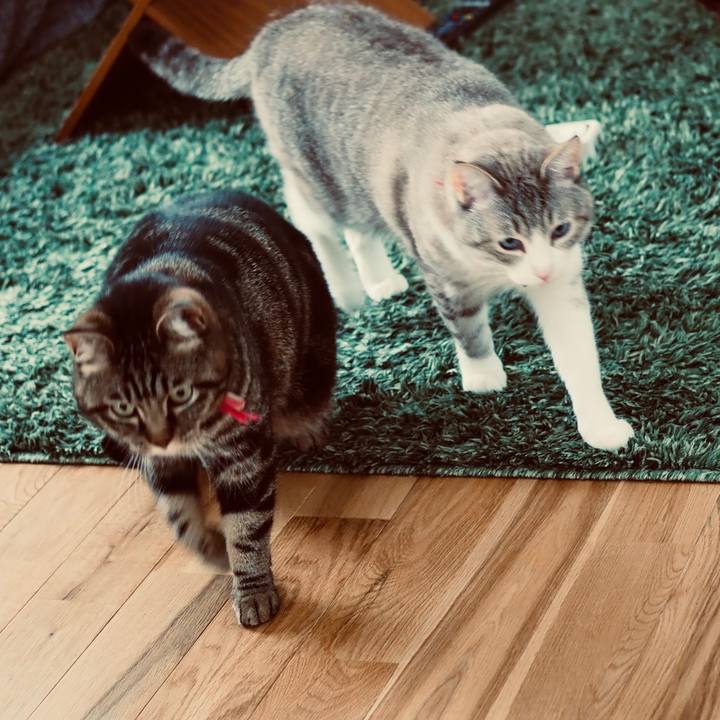 F29e93b4 40b0 4b69 861a cc04befde79e 1622106174214