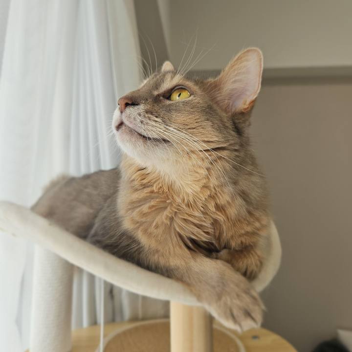 F29ea1ea 8fd0 4150 b316 89badb6ee13a 1755653640262