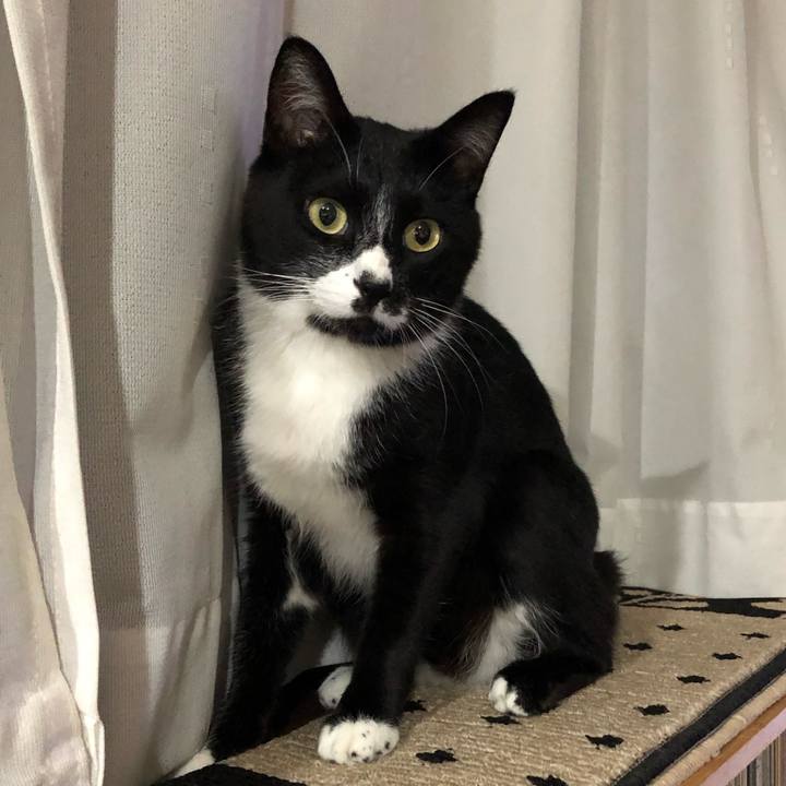 F29eb295 867d 430d 8b34 6799ea2773ca 1569296299227