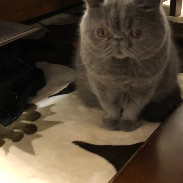 F29ebfa6 80dc 493e 84bb f8a11ae29081 1513253032670