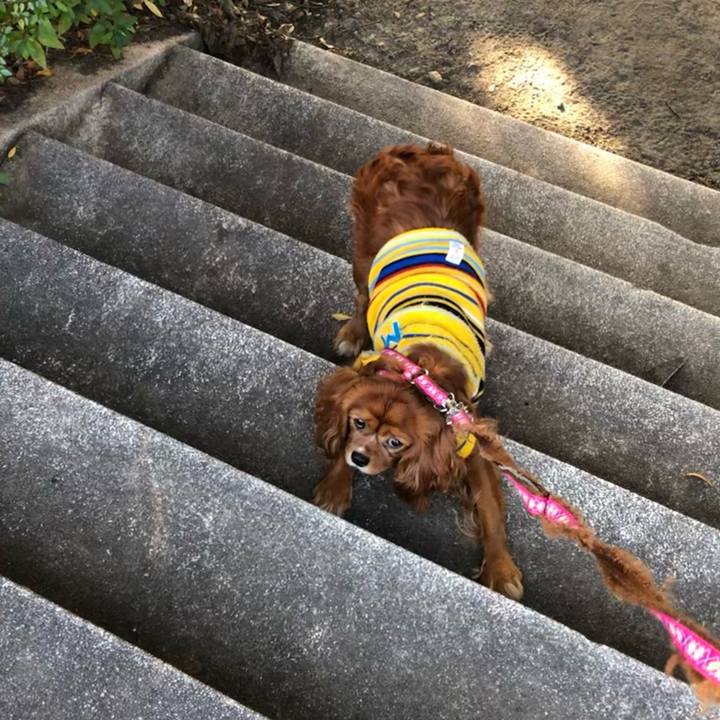 F29ee496 3c4c 4080 a079 0e8ba9fff265 1643503203068