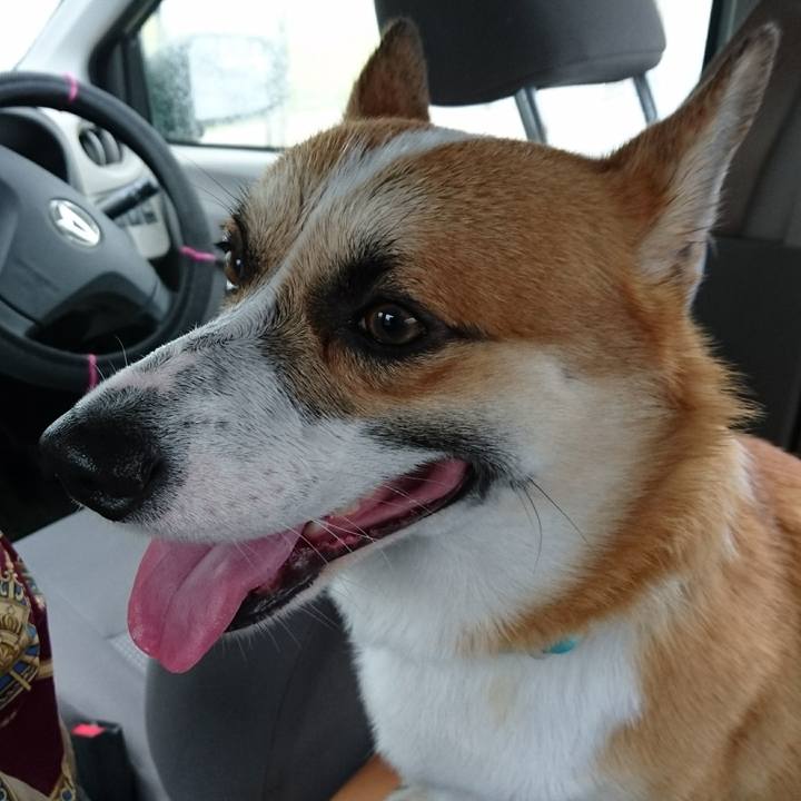 F29eeda1 5b71 40dc bff8 d906ed350877 1602291668048