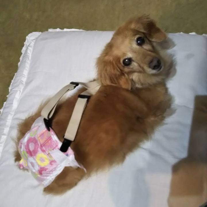 F29f13cb 8241 4c62 99bc 626c6549caef 1632576171879