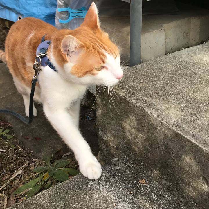 F29f1796 137d 4ee9 a819 8338eb2cf506 1515895733213