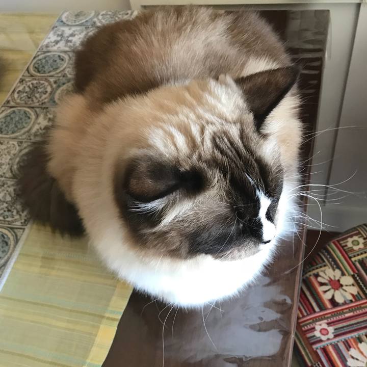 F29f2019 68ca 43cd a6a8 8beae4ee088d 1510449090416