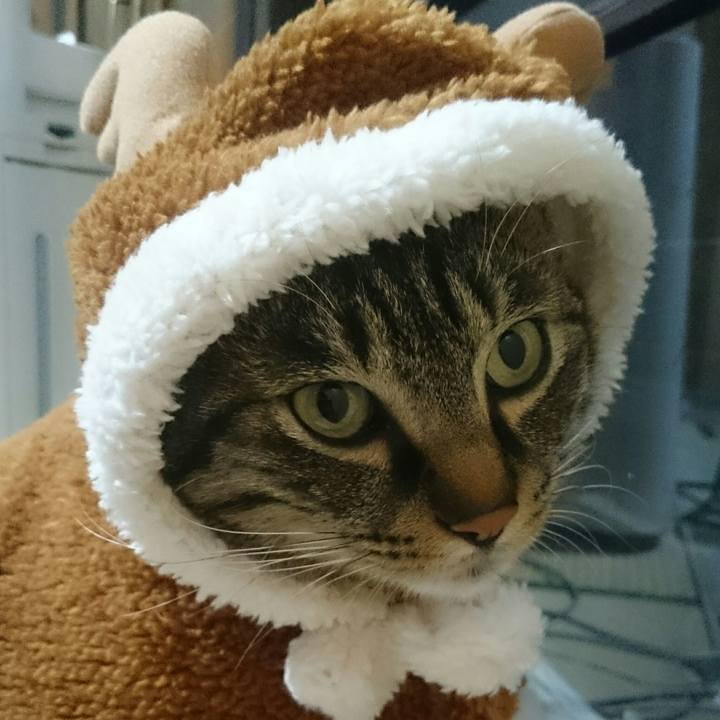 F29f23f3 bda9 479d bd36 b7ddbc4fa29c 1511357956880