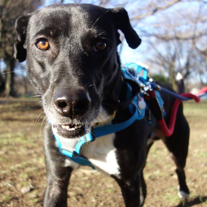 F29fbc26 c6c4 41f8 b699 e833abc6b516 1613782586224