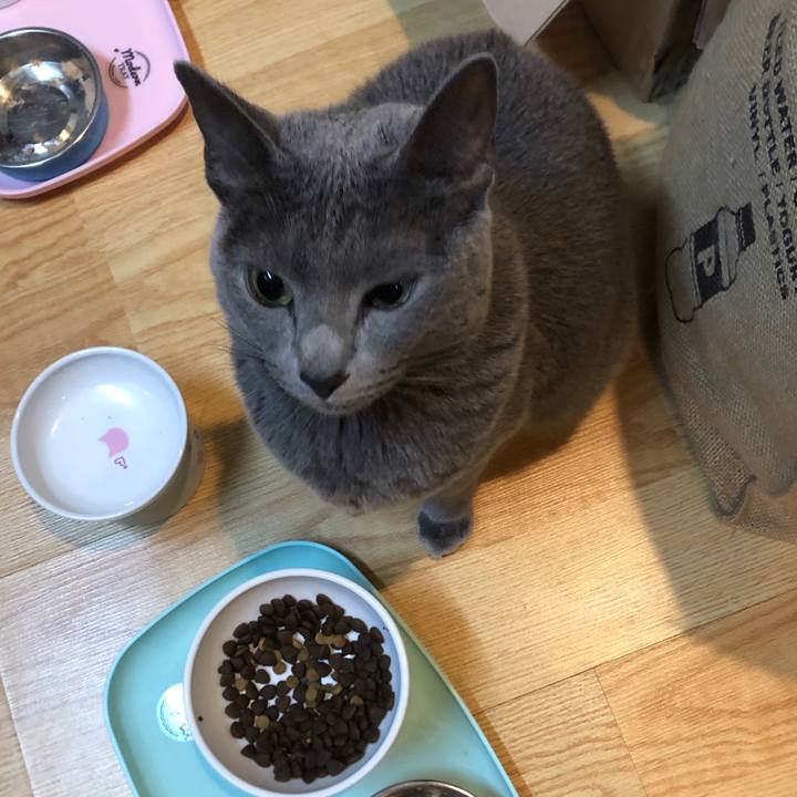 F29fc65f b2b0 472a 8537 7ad632f982da 1584074077237