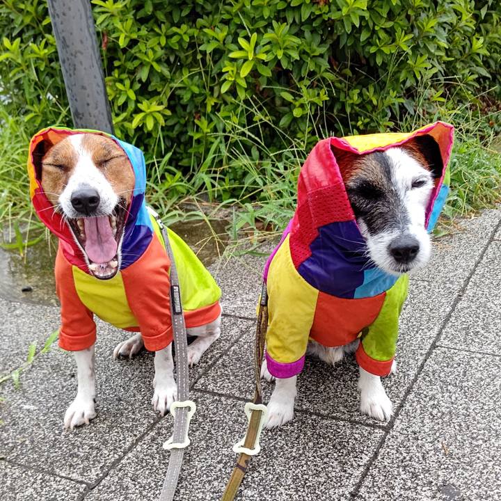 F29fc841 ab06 41e9 aa2d dcdd174955f6 1658786800150