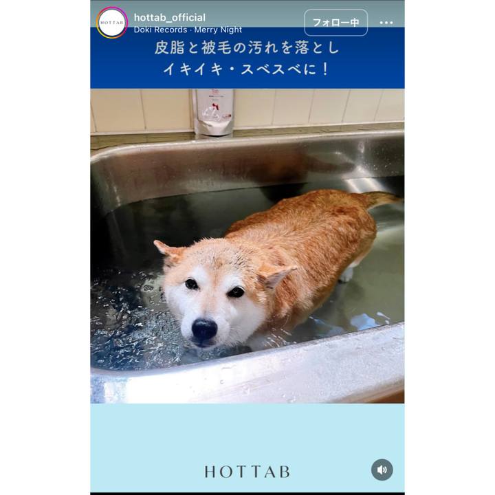 F2a001e0 495f 49f8 870a aed7ed03d608 1698380425517