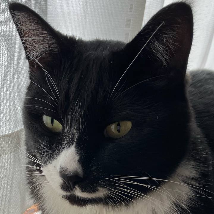 F2a027b9 cb6e 46c6 af39 9fa190f1ab86 1739098577994