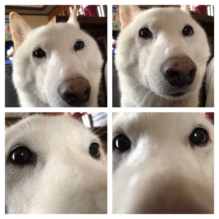 F2a028af 3f2f 46f8 b7e0 28cdf0334422 1735781539090