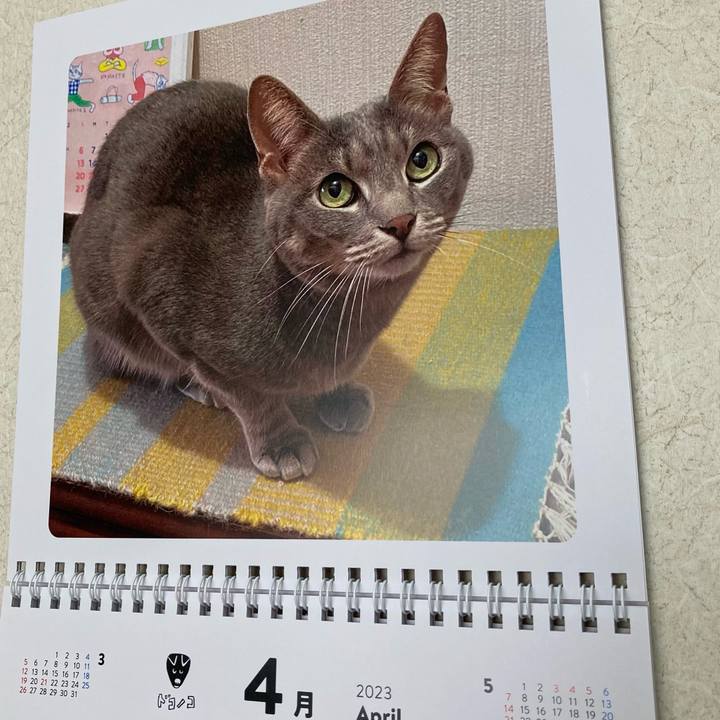 F2a02ed3 7c0d 4222 b844 841b2d64f10b 1680331472163