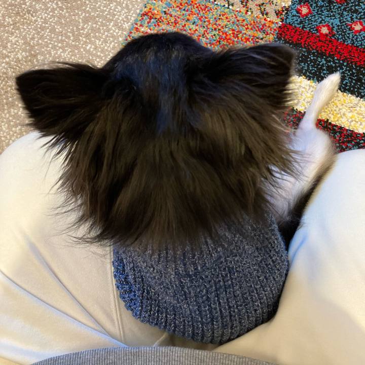 F2a04883 c669 40c2 b05d f6c38676d5db 1706407419301