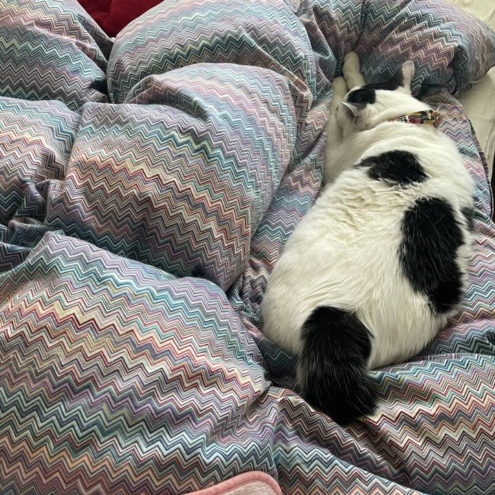 F2a05d50 16d1 465c 943c 4a7fc5ca15d3 1636676793518