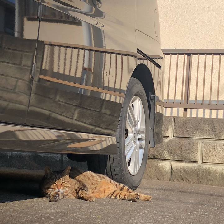 F2a06548 98a4 4e7f a50f 812b68b57aba 1589718645205