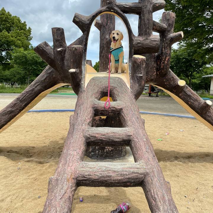 F2a0810c 1965 47e2 8917 374ca2df0359 1622129437484