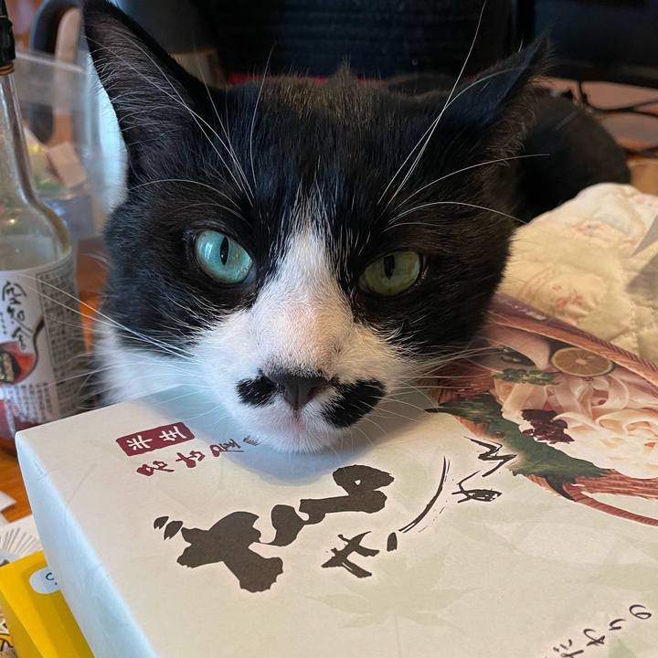 F2a09134 2745 41d8 8afd 1e8d0ff3266e 1750985762952