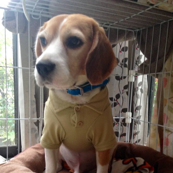 F2a095a1 a1be 43ab 8699 9b48750f2b0a 1730758671385