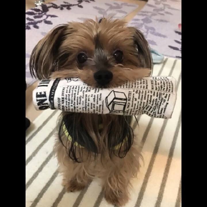 F2a09e34 4f7d 45d5 9a31 7d27e56344c6 1514936428275