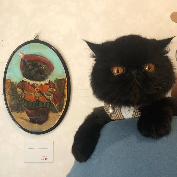 F2a0fcf0 e9c5 48fc 8619 b437039c6c39 1687674706957