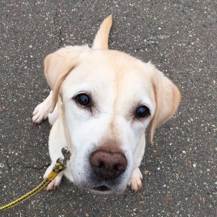 F2a1190b 601d 437c be4b fd3a94e6de07 1537050001441