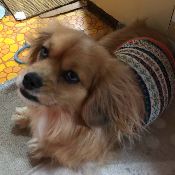 F2a15e4d b70c 4397 b7af f55a45886738 1552515013182