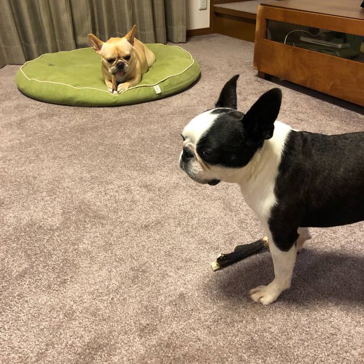 F2a16b8a 730f 40bf 8e33 a4b899ce173c 1566209971829