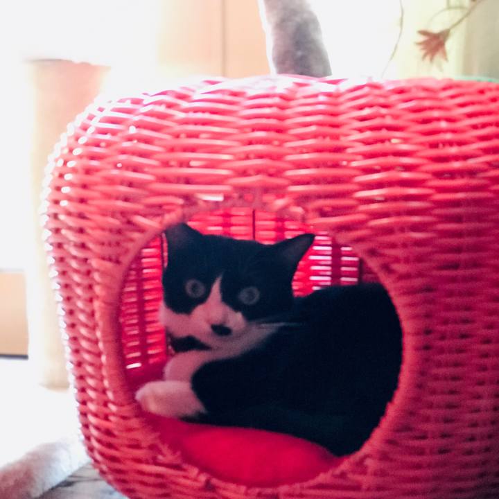 F2a19407 063d 4ac8 aee3 12061fc4da4c 1551083040379