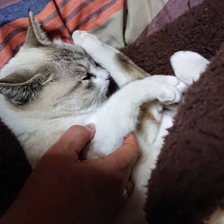 F2a19958 4bbb 4c96 89b4 8e82a4bf0997 1549374755344