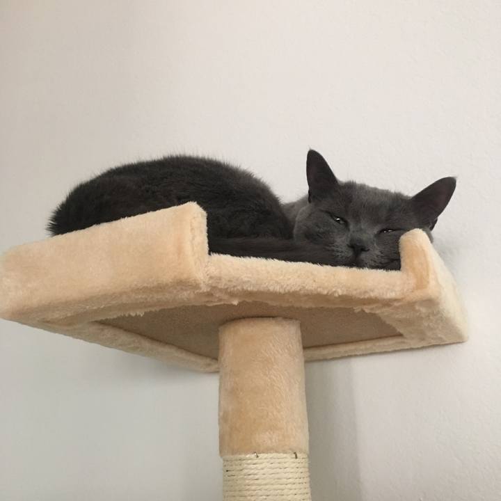 F2a1dbad 8b5c 4a78 8317 e8de5f9747be 1694227426642