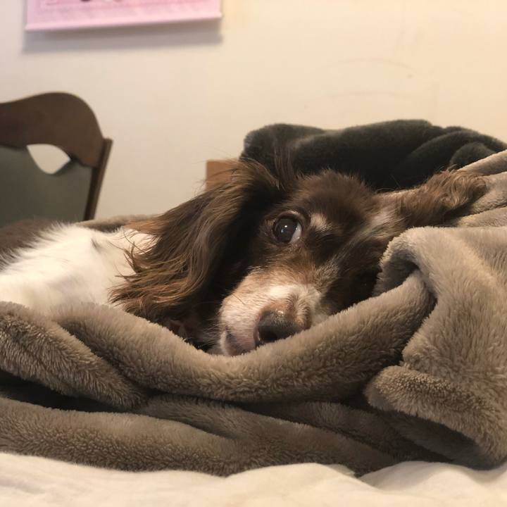 F2a229c8 0900 4510 b96c 89604d6b2f67 1630621829311