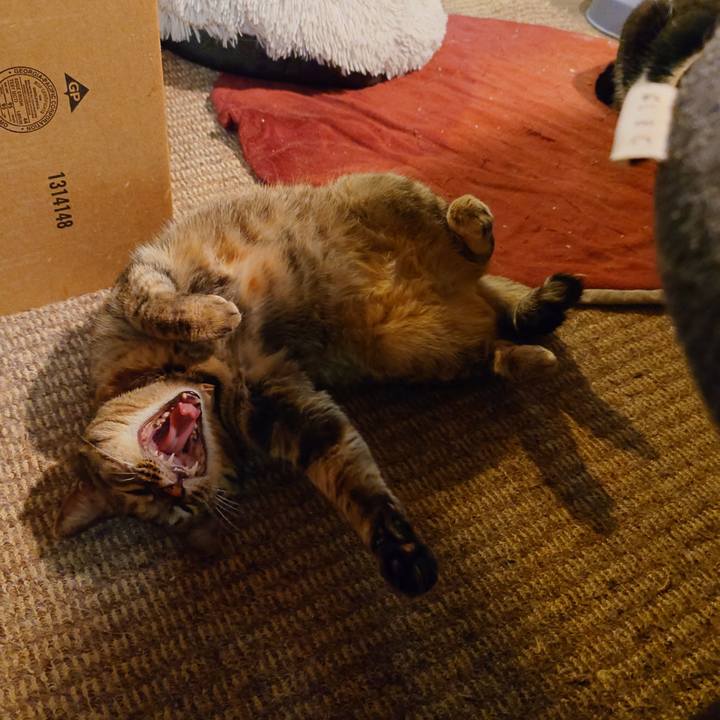 F2a244ba bc3a 4680 b6fa 20b388a27b4b 1763034669064